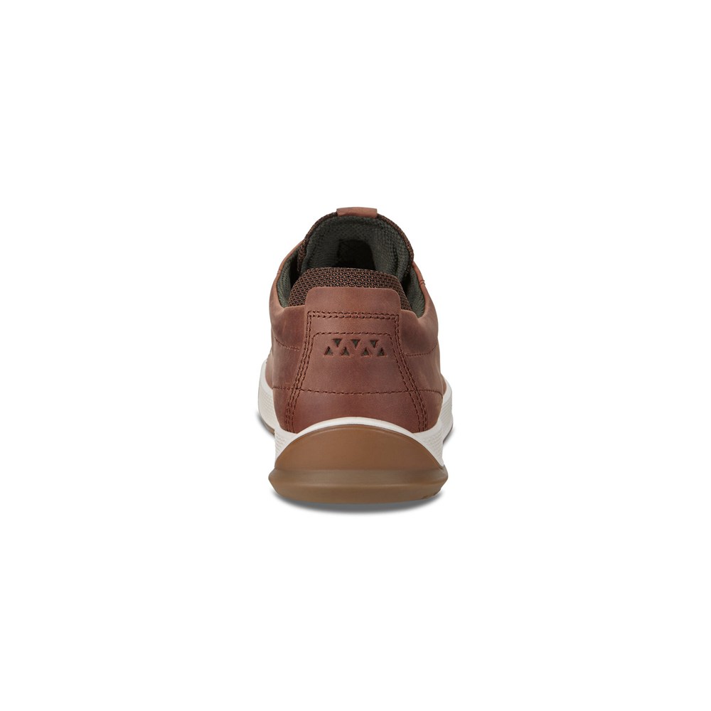 Tenis Hombre - ECCO Byway Treds - Marrom - VCB648230